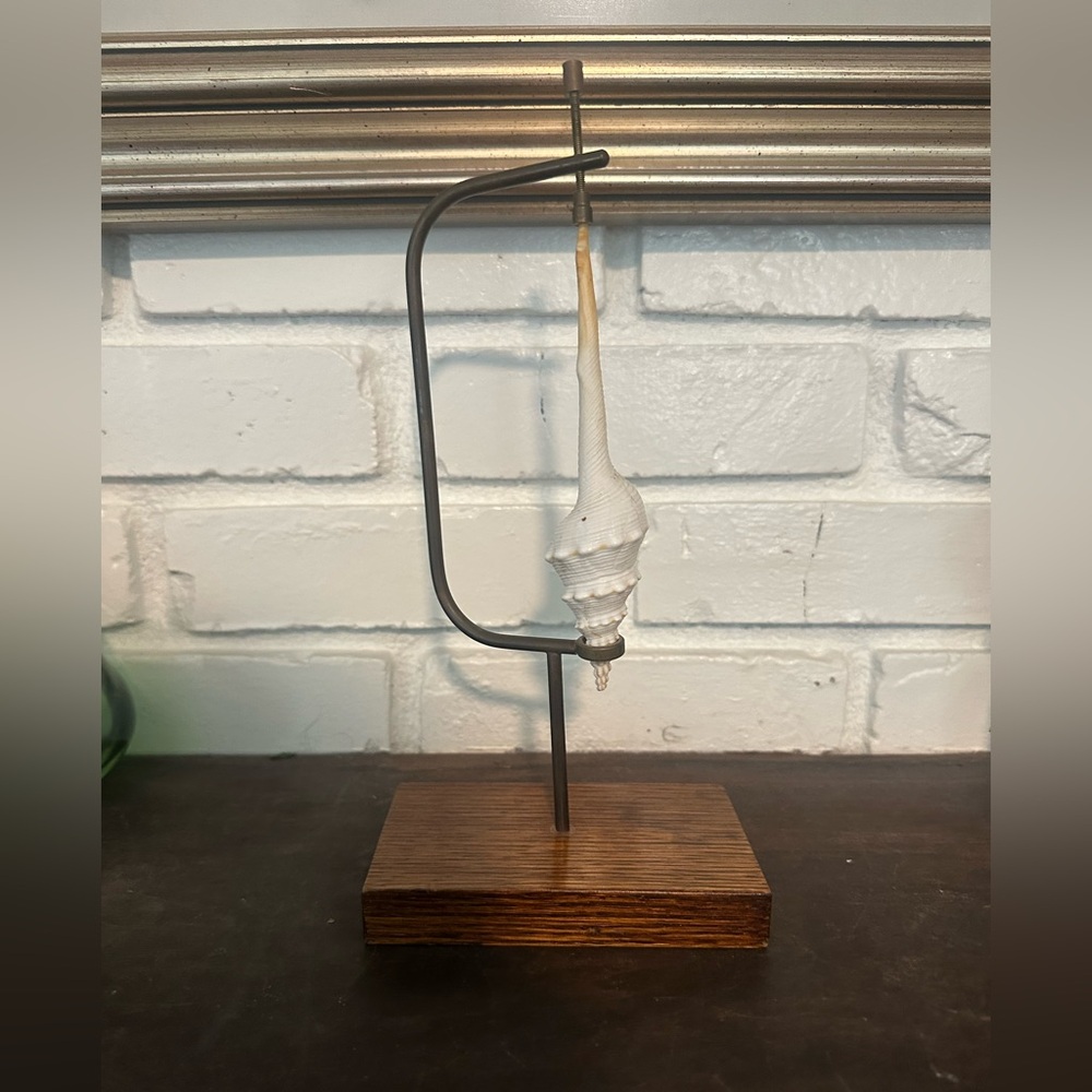 Elegant Shell Decor brass tension and wood Stand - Picture 6 of 7